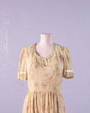 1970's Sheer Prairie style dress